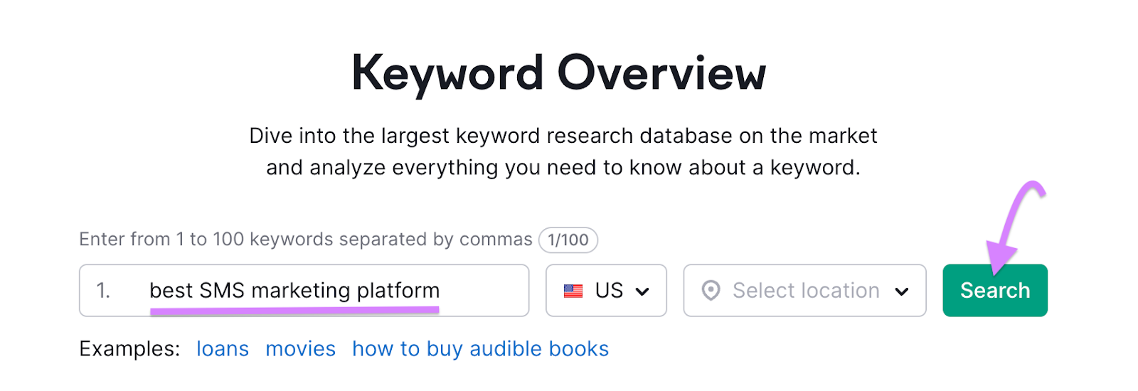 Search bar in the Keyword Overview tool.