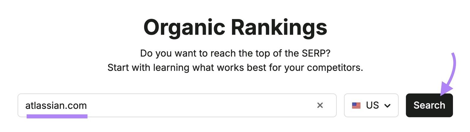 Organic Rankings tool start with a domain entered and "Search" clicked.