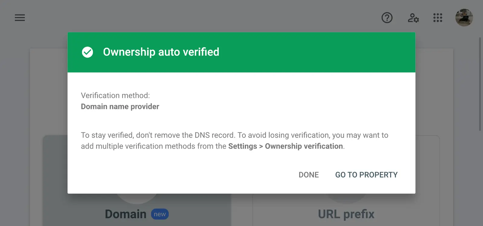 Google Search Console confirmation showing domain ownership automatically verified through the domain name provider
