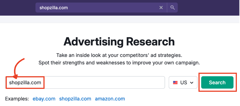 Search bar with an example domain entered.