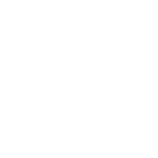 springer.com favicon